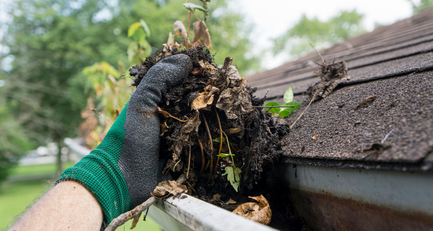 Choosing The Right Roof Repair Service For Your Home
